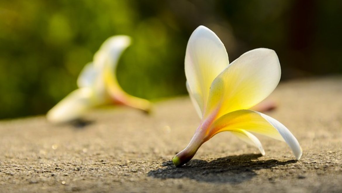 היום שאחרי הגירושין